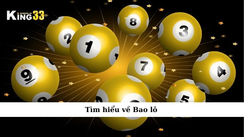 Tìm hiểu về Bao lô