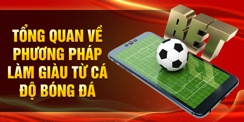 Tổng quan về phương pháp làm giàu từ cá độ bóng đá